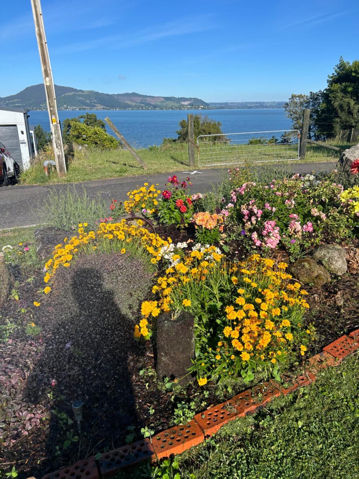 Rotorua Lakes Cottage Экстерьер фото